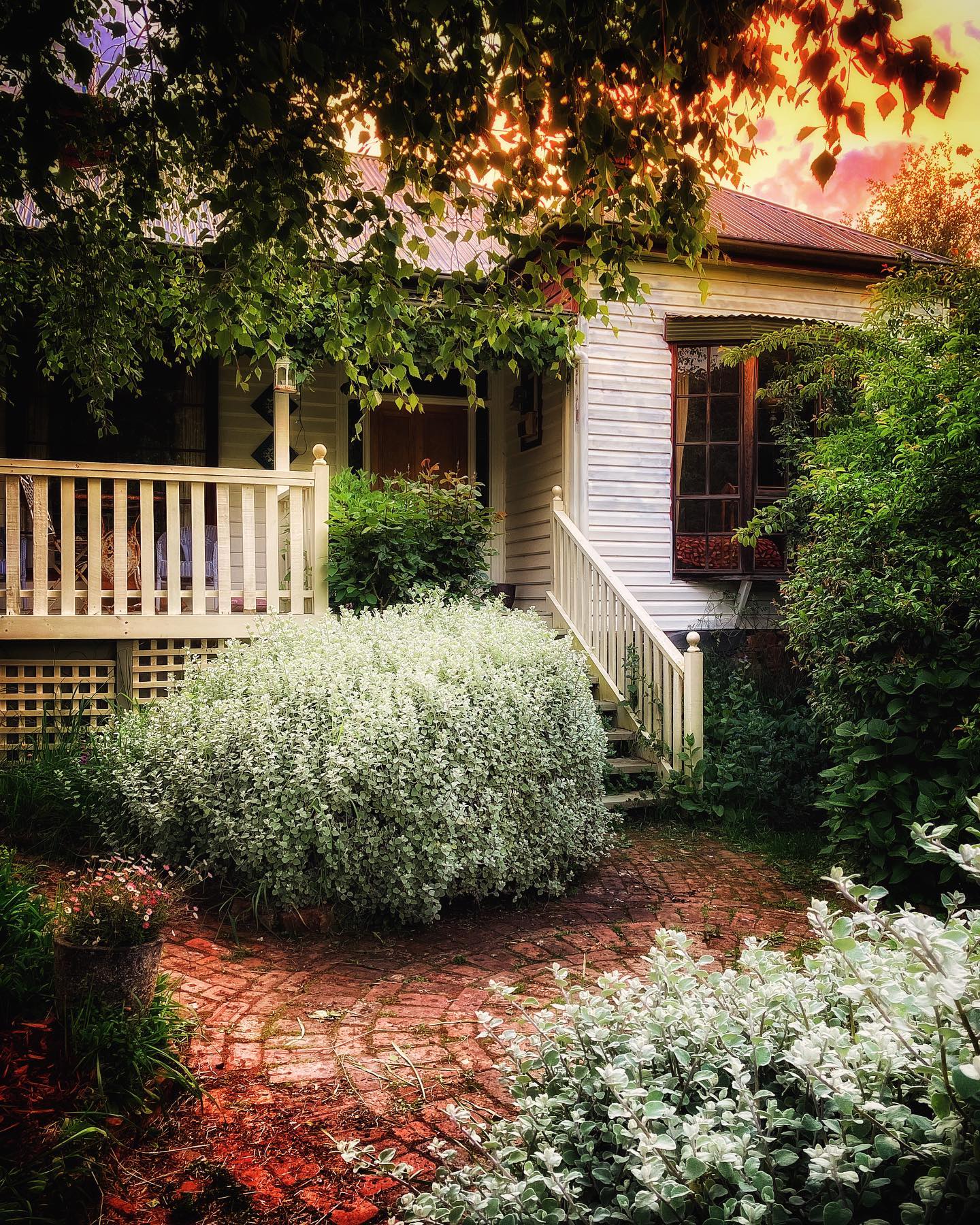 6. the Whimsical Archway Of Lavender and Climbing Roses Front Yard Garden