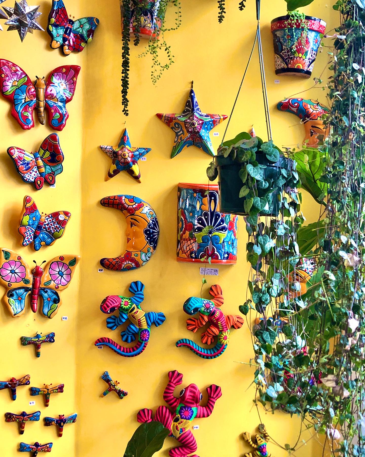 24. Vibrant Cactus and Geometric Wall Art Fusion In a Sunlit Living Space