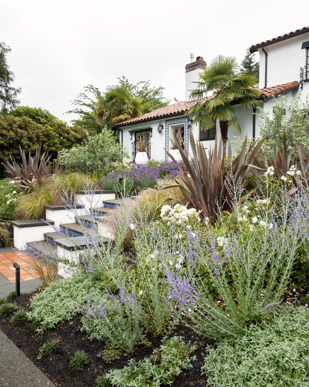 5. a Cobblestone Path Through a Lush Fern Oasis