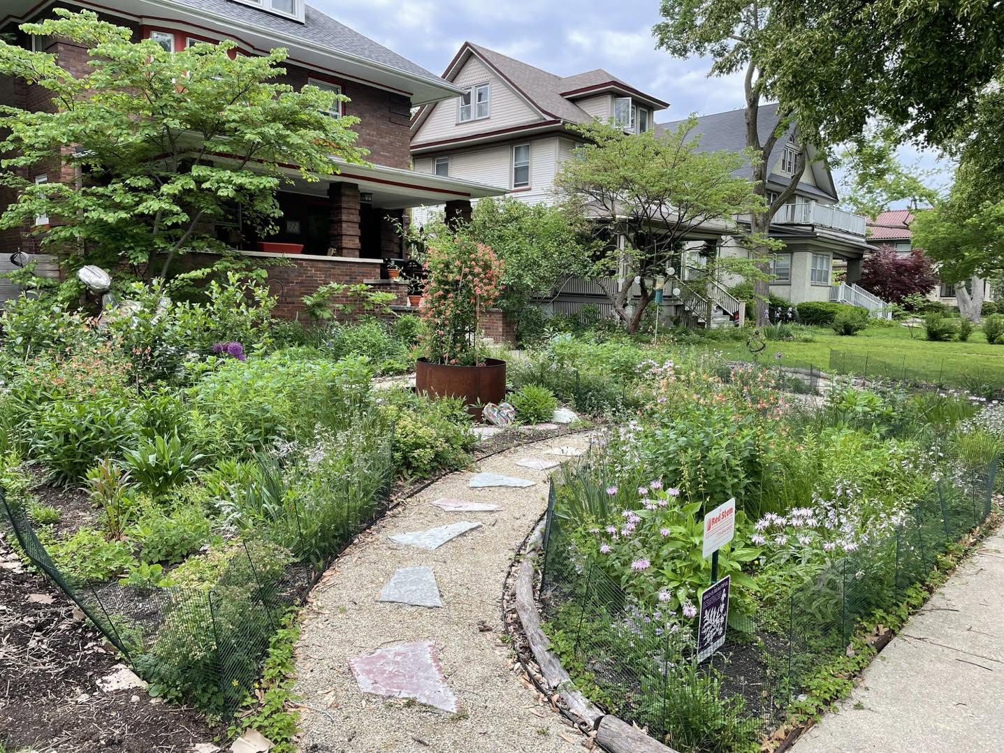 8. Verdant Pathway Edged by Crimson Blooms and Solar Lanterns