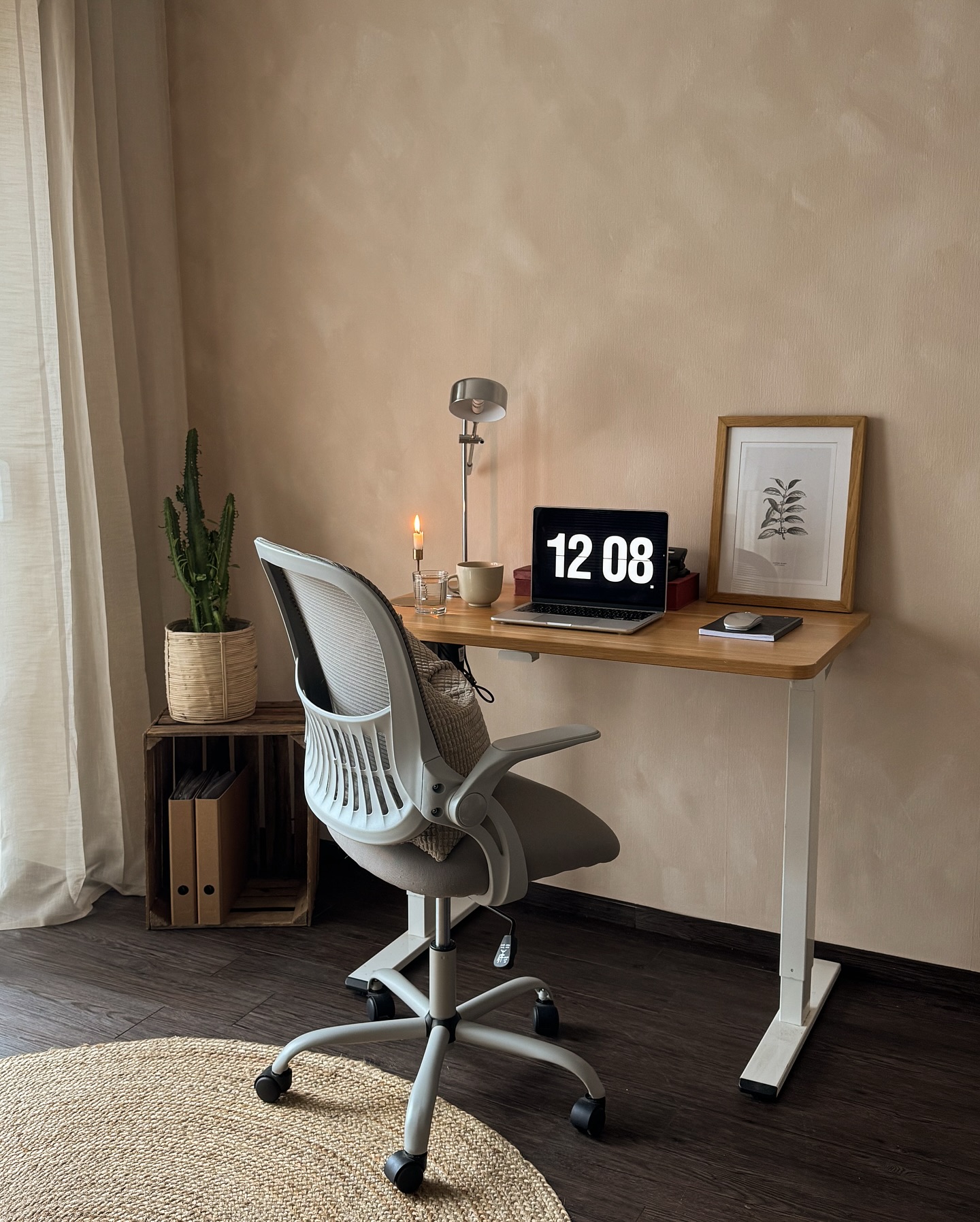 3. a Suspended Shelf and Fiddle Leaf Fig Fusion Workspace